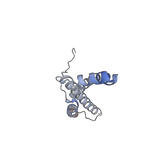 22528_7jz2_G_v1-1
Succinate: quinone oxidoreductase SQR from E.coli K12