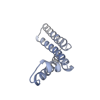 22528_7jz2_H_v1-1
Succinate: quinone oxidoreductase SQR from E.coli K12