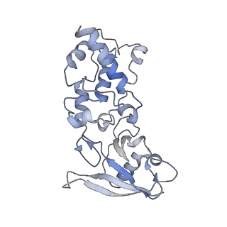 22528_7jz2_J_v1-0
Succinate: quinone oxidoreductase SQR from E.coli K12