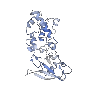 22528_7jz2_J_v1-1
Succinate: quinone oxidoreductase SQR from E.coli K12