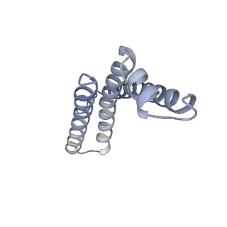 22528_7jz2_L_v1-0
Succinate: quinone oxidoreductase SQR from E.coli K12