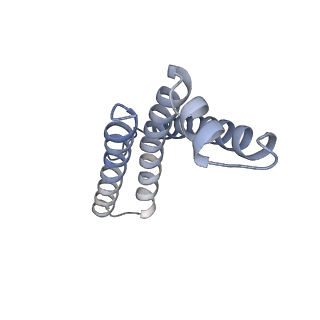 22528_7jz2_L_v1-1
Succinate: quinone oxidoreductase SQR from E.coli K12