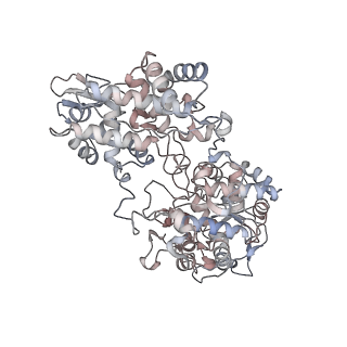 22530_7jz6_D_v1-1
The Cryo-EM structure of the Catalase-peroxidase from Escherichia coli