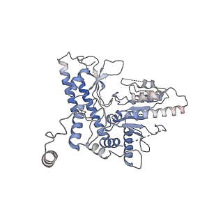 22531_7jzh_A_v1-0
The Cryo-EM structure of the Glutamate decarboxylase from Escherichia coli