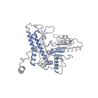 22531_7jzh_A_v1-1
The Cryo-EM structure of the Glutamate decarboxylase from Escherichia coli