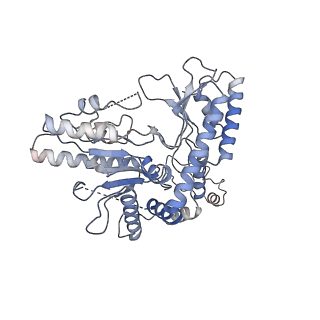 22531_7jzh_B_v1-0
The Cryo-EM structure of the Glutamate decarboxylase from Escherichia coli