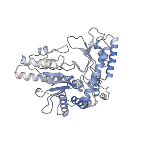 22531_7jzh_B_v1-1
The Cryo-EM structure of the Glutamate decarboxylase from Escherichia coli