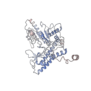 22531_7jzh_C_v1-0
The Cryo-EM structure of the Glutamate decarboxylase from Escherichia coli