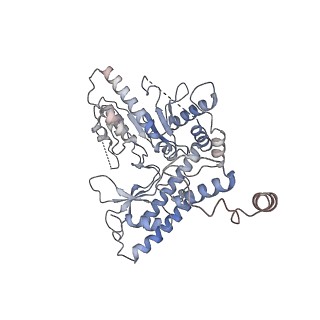22531_7jzh_C_v1-1
The Cryo-EM structure of the Glutamate decarboxylase from Escherichia coli