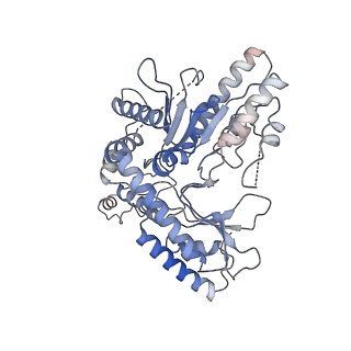 22531_7jzh_D_v1-0
The Cryo-EM structure of the Glutamate decarboxylase from Escherichia coli