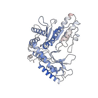 22531_7jzh_D_v1-1
The Cryo-EM structure of the Glutamate decarboxylase from Escherichia coli