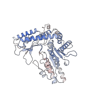 22531_7jzh_E_v1-0
The Cryo-EM structure of the Glutamate decarboxylase from Escherichia coli