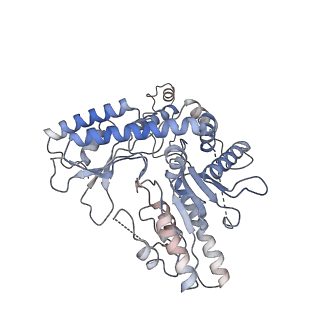 22531_7jzh_E_v1-1
The Cryo-EM structure of the Glutamate decarboxylase from Escherichia coli