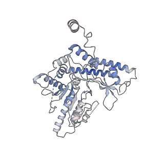 22531_7jzh_F_v1-0
The Cryo-EM structure of the Glutamate decarboxylase from Escherichia coli