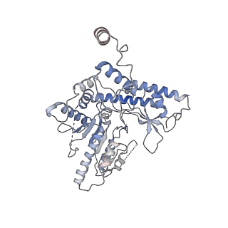 22531_7jzh_F_v1-1
The Cryo-EM structure of the Glutamate decarboxylase from Escherichia coli