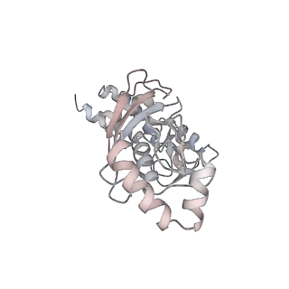 22581_7jzv_A_v1-2
Cryo-EM structure of the BRCA1-UbcH5c/BARD1 E3-E2 module bound to a nucleosome