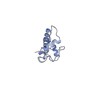 22581_7jzv_N_v1-2
Cryo-EM structure of the BRCA1-UbcH5c/BARD1 E3-E2 module bound to a nucleosome
