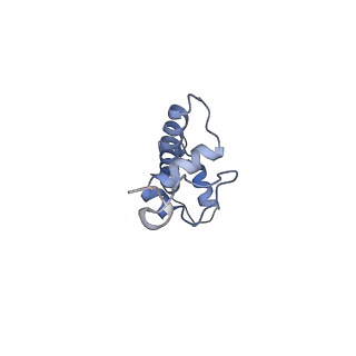 22581_7jzv_N_v1-3
Cryo-EM structure of the BRCA1-UbcH5c/BARD1 E3-E2 module bound to a nucleosome