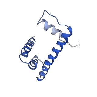 22581_7jzv_O_v1-2
Cryo-EM structure of the BRCA1-UbcH5c/BARD1 E3-E2 module bound to a nucleosome