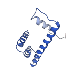 22581_7jzv_O_v1-3
Cryo-EM structure of the BRCA1-UbcH5c/BARD1 E3-E2 module bound to a nucleosome