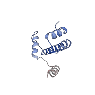 22581_7jzv_P_v1-3
Cryo-EM structure of the BRCA1-UbcH5c/BARD1 E3-E2 module bound to a nucleosome