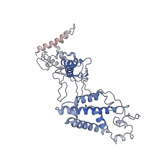 22582_7jzw_A_v1-2
Cryo-EM structure of CRISPR-Cas surveillance complex with AcrIF4
