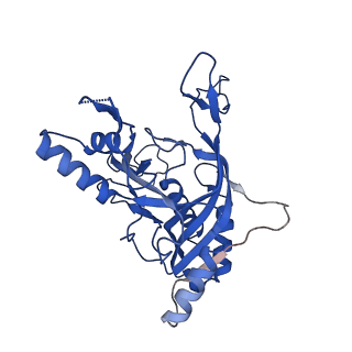 22582_7jzw_B_v1-2
Cryo-EM structure of CRISPR-Cas surveillance complex with AcrIF4