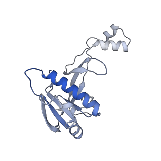 22582_7jzw_C_v1-2
Cryo-EM structure of CRISPR-Cas surveillance complex with AcrIF4