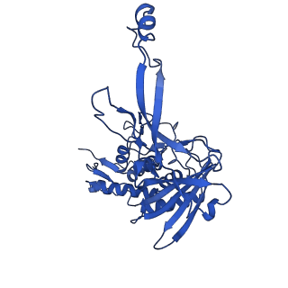 22582_7jzw_I_v1-2
Cryo-EM structure of CRISPR-Cas surveillance complex with AcrIF4