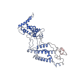 22583_7jzx_A_v1-2
Cryo-EM structure of CRISPR-Cas surveillance complex with AcrIF7