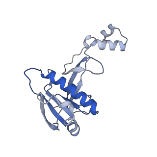 22583_7jzx_C_v1-2
Cryo-EM structure of CRISPR-Cas surveillance complex with AcrIF7