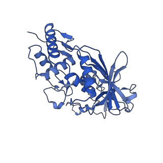 22583_7jzx_E_v1-2
Cryo-EM structure of CRISPR-Cas surveillance complex with AcrIF7