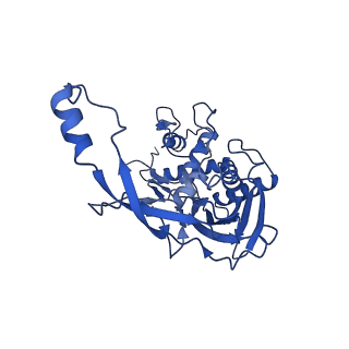22583_7jzx_H_v1-2
Cryo-EM structure of CRISPR-Cas surveillance complex with AcrIF7