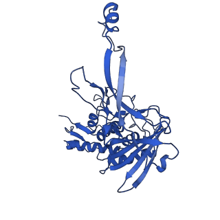 22583_7jzx_I_v1-2
Cryo-EM structure of CRISPR-Cas surveillance complex with AcrIF7