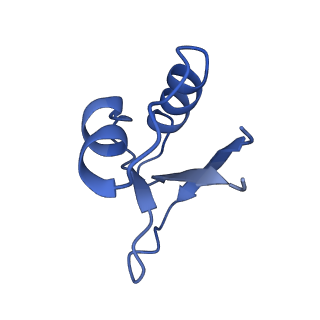 22583_7jzx_J_v1-2
Cryo-EM structure of CRISPR-Cas surveillance complex with AcrIF7