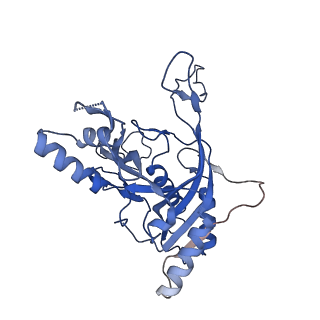 22584_7jzy_B_v1-0
CryoEM structure of a CRISPR-Cas complex