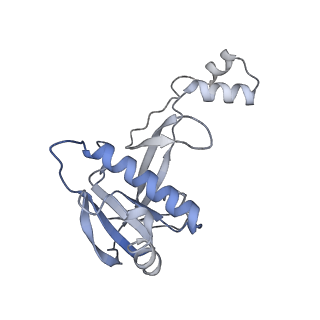 22584_7jzy_C_v1-0
CryoEM structure of a CRISPR-Cas complex