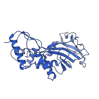 22584_7jzy_D_v1-0
CryoEM structure of a CRISPR-Cas complex
