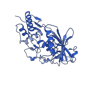 22584_7jzy_E_v1-0
CryoEM structure of a CRISPR-Cas complex