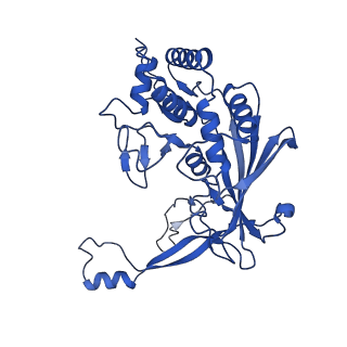22584_7jzy_F_v1-0
CryoEM structure of a CRISPR-Cas complex