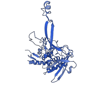 22584_7jzy_I_v1-0
CryoEM structure of a CRISPR-Cas complex