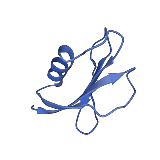 22584_7jzy_J_v1-0
CryoEM structure of a CRISPR-Cas complex