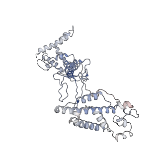 22585_7jzz_A_v1-2
Cryo-EM structure of CRISPR-Cas surveillance complex with AcrIF14