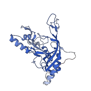 22585_7jzz_B_v1-2
Cryo-EM structure of CRISPR-Cas surveillance complex with AcrIF14