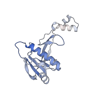 22585_7jzz_C_v1-2
Cryo-EM structure of CRISPR-Cas surveillance complex with AcrIF14