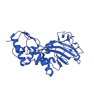 22585_7jzz_D_v1-2
Cryo-EM structure of CRISPR-Cas surveillance complex with AcrIF14