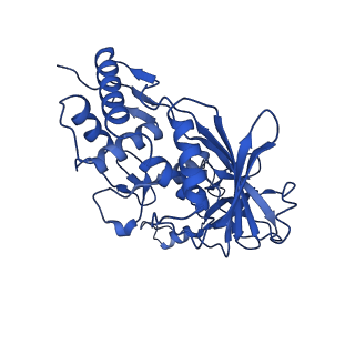 22585_7jzz_E_v1-2
Cryo-EM structure of CRISPR-Cas surveillance complex with AcrIF14