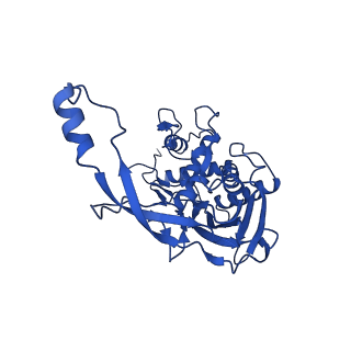 22585_7jzz_H_v1-2
Cryo-EM structure of CRISPR-Cas surveillance complex with AcrIF14