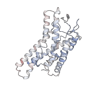 36736_8jz7_A_v1-0
Cryo-EM structure of MK-6892-bound HCAR2 in complex with Gi protein