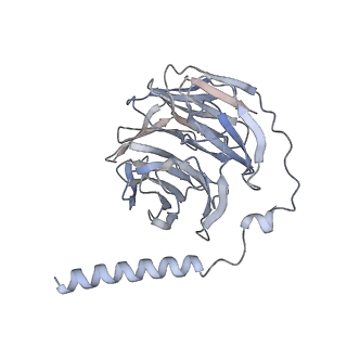36736_8jz7_B_v1-0
Cryo-EM structure of MK-6892-bound HCAR2 in complex with Gi protein